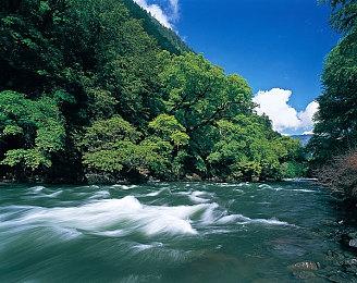 疑似《动物派对》Steam售价曝光 标准版163元