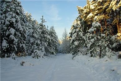 城市建造游戏《凯撒朋克》现已推出试玩Demo 2024年第三季度发行