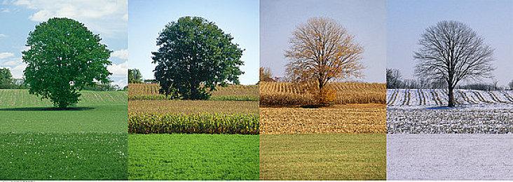 《武装突袭4》预览版《武装突袭Reforger》推出