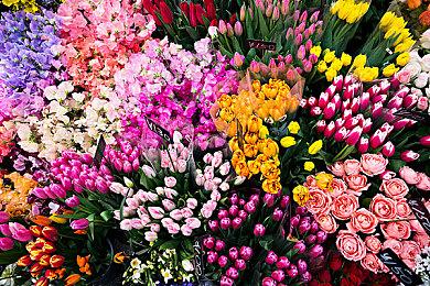 这也太幸运了！《丝之歌》在发售日前抢先暗示DLC